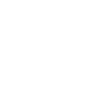 icon-floorscore