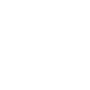 icon-rohs